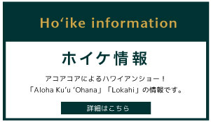 ホイケ情報